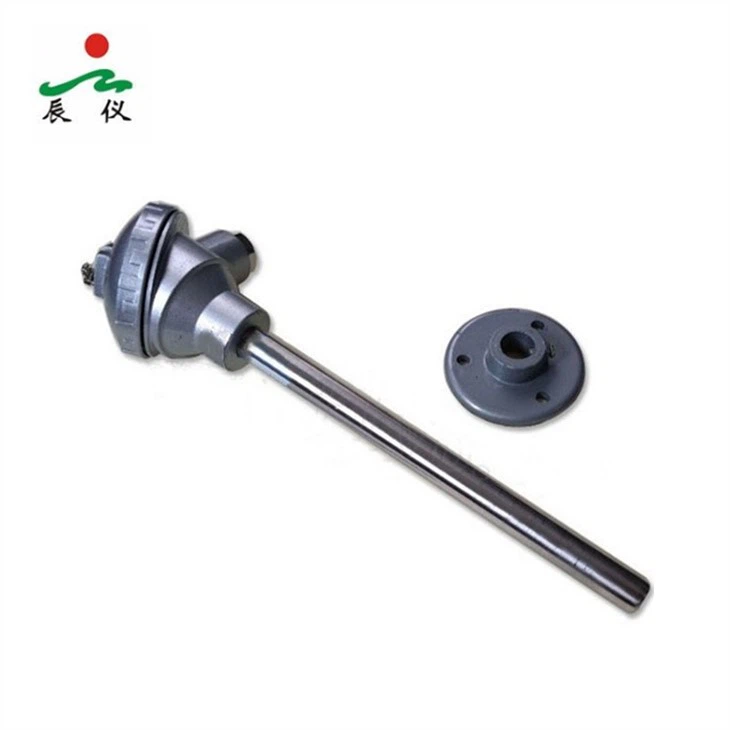 Dual K Type Thermocouple with flange